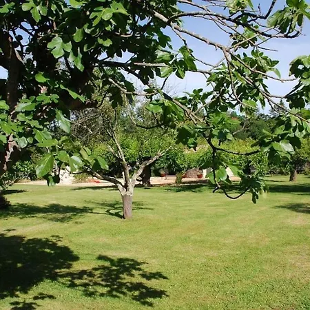 Gite De Charme 80 M², Piscine, Proche D'Uzes. Vezenobres Extérieur photo