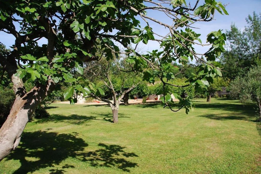 De Charme 80 M², Piscine, Proche D'uzes. Hébergement de vacances *
