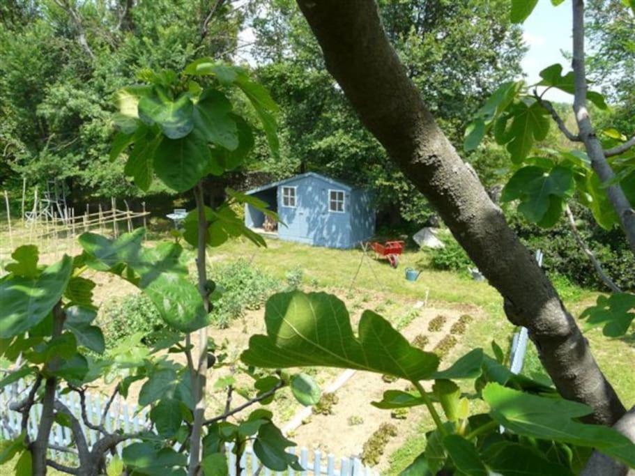 De Charme 80 M², Piscine, Proche D'uzes. Hébergement de vacances *