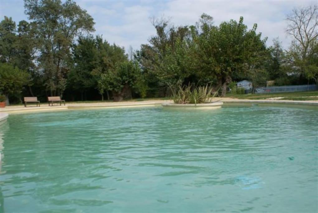 De Charme 80 M², Piscine, Proche D'uzes. * Vezenobres