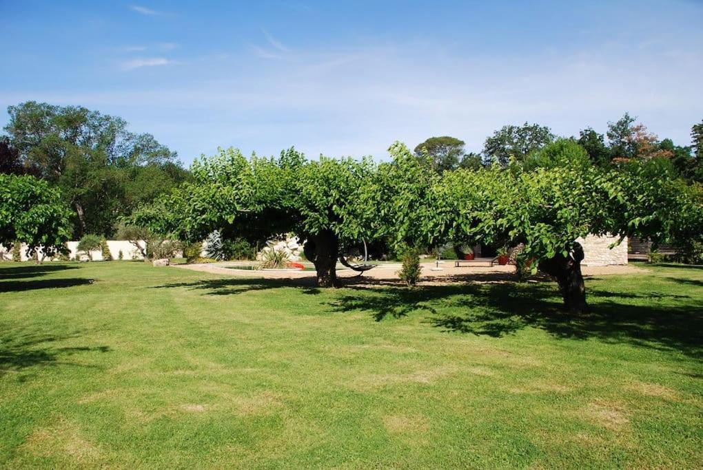 De Charme 80 M², Piscine, Proche D'uzes.